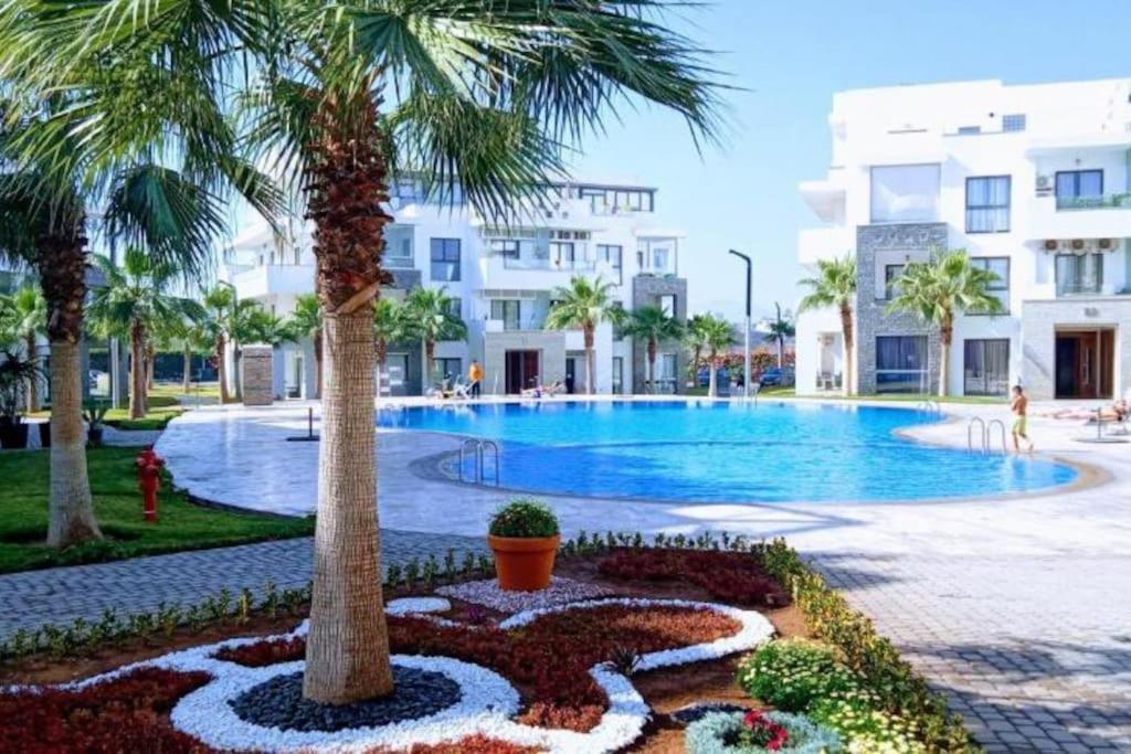 Appartement De Luxe ,Piscine,Parking,Terrasse 阿加迪尔 外观 照片